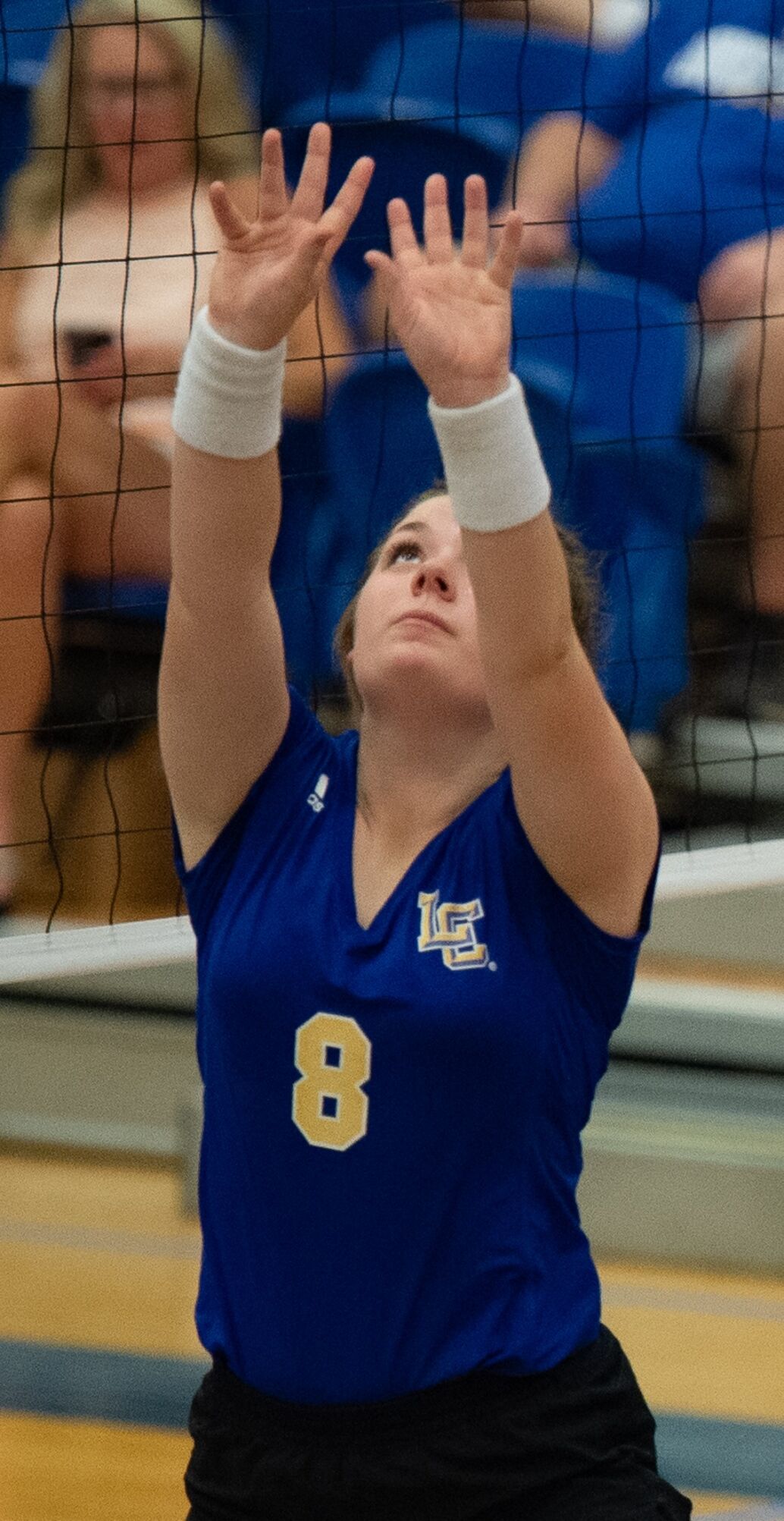 Halle Galbraith